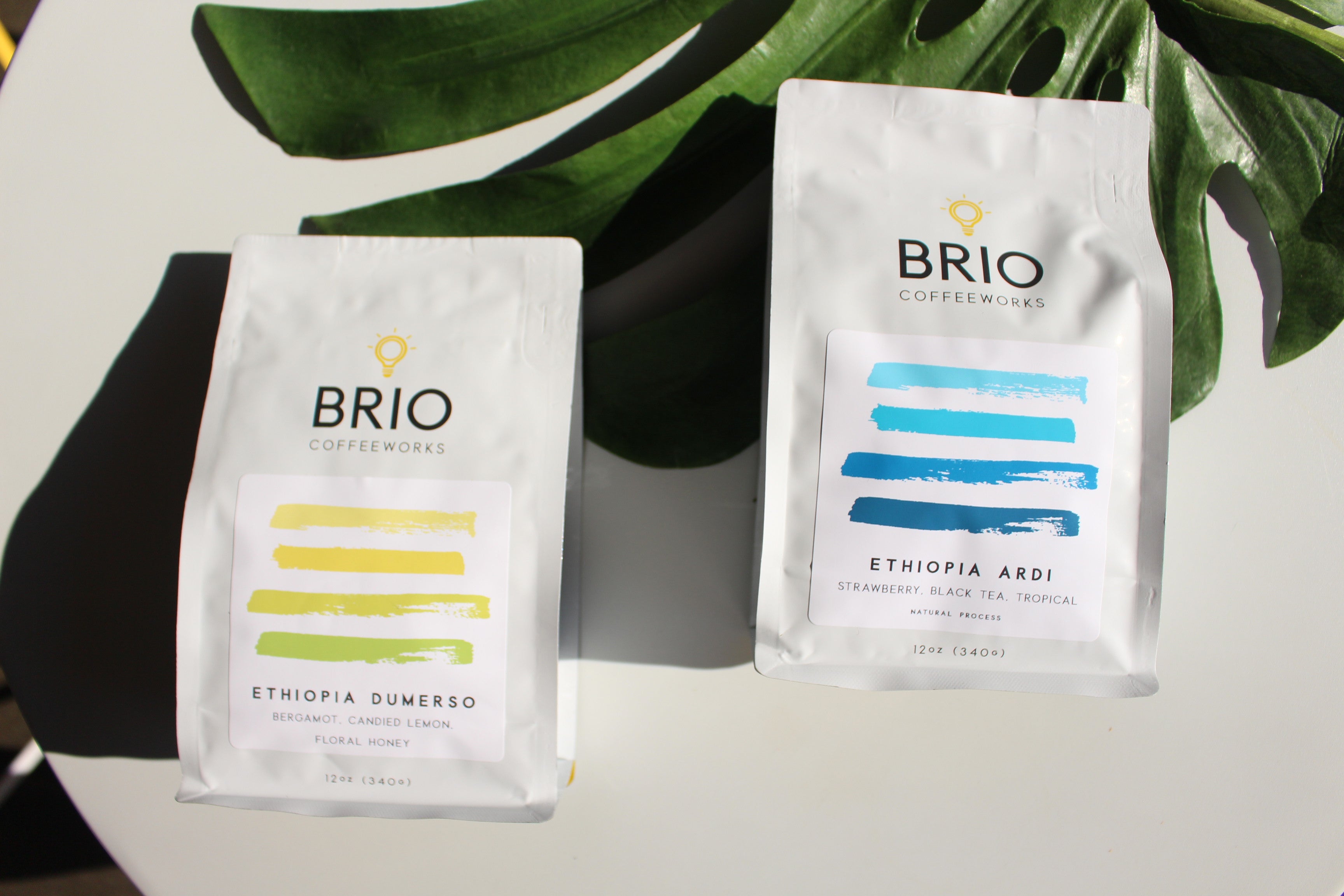 Single Origin