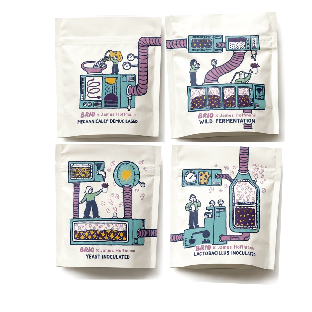 The Fermentation Project Box Set
