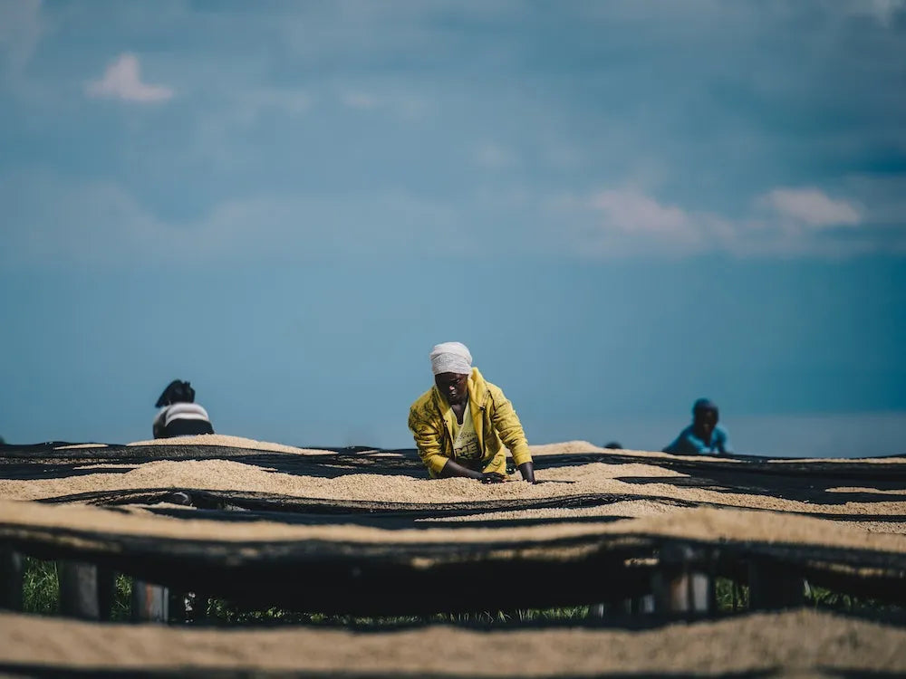 Rwanda Mbizi