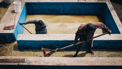 Rwanda Mbizi