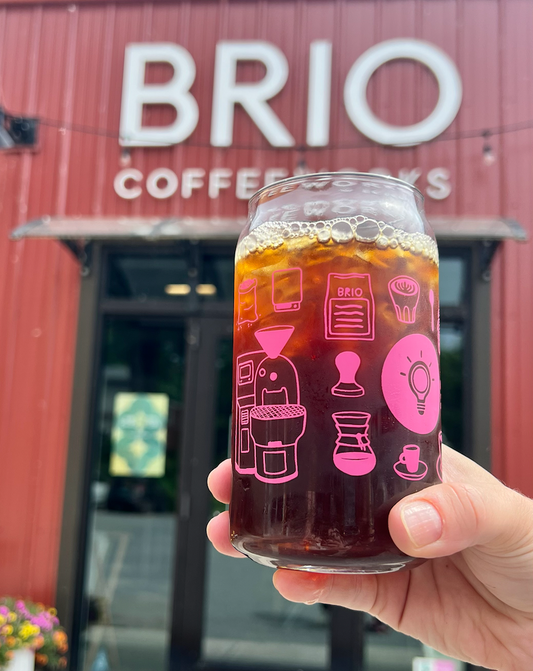 Brio Can Glass - 16oz